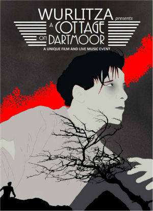 A Cottage on Dartmoor